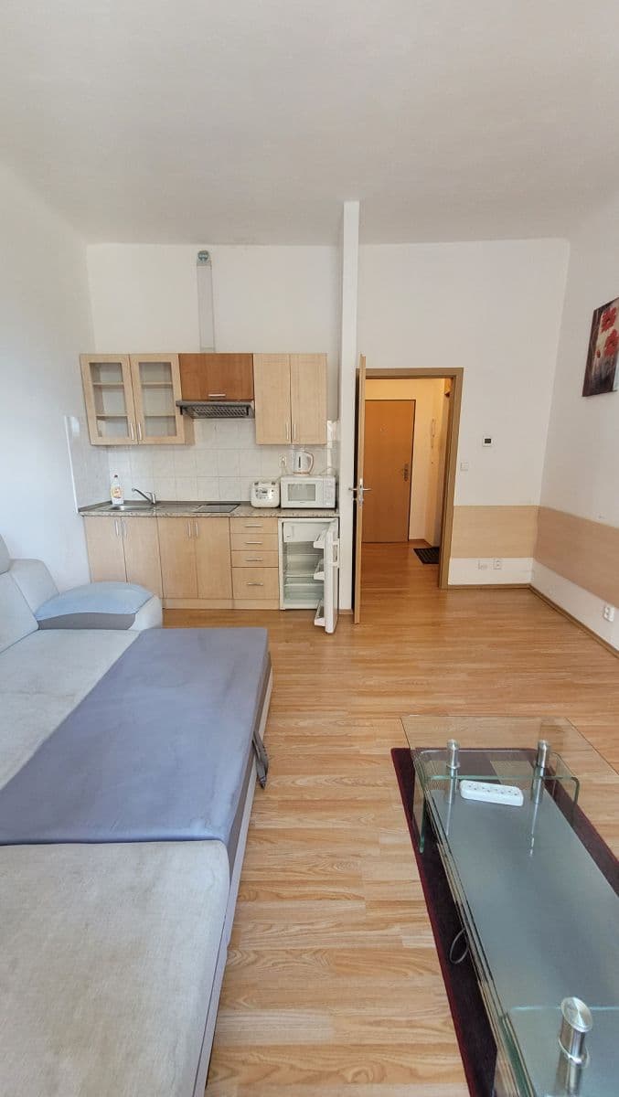 Pronájem bytu 1+kk 25 m², Veletržní, Praha, Praha Pronájem bytu 1+kk 25 m², Veletržní, Praha, Praha
