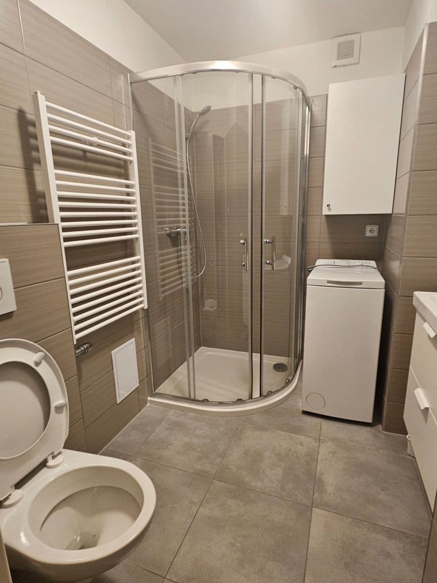 Pronájem bytu 1+kk 30 m², Cihlářská, Brno, Jihomoravský kraj Pronájem bytu 1+kk 30 m², Cihlářská, Brno, Jihomoravský kraj