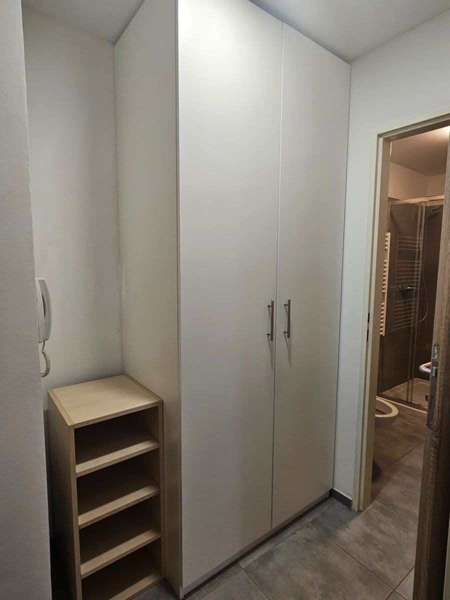 Pronájem bytu 1+kk 30 m², Cihlářská, Brno, Jihomoravský kraj Pronájem bytu 1+kk 30 m², Cihlářská, Brno, Jihomoravský kraj