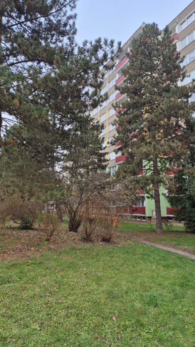 Pronájem bytu 2+1 64 m², Pezinská, Mladá Boleslav, Středočeský kraj Pronájem bytu 2+1 64 m², Pezinská, Mladá Boleslav, Středočeský kraj