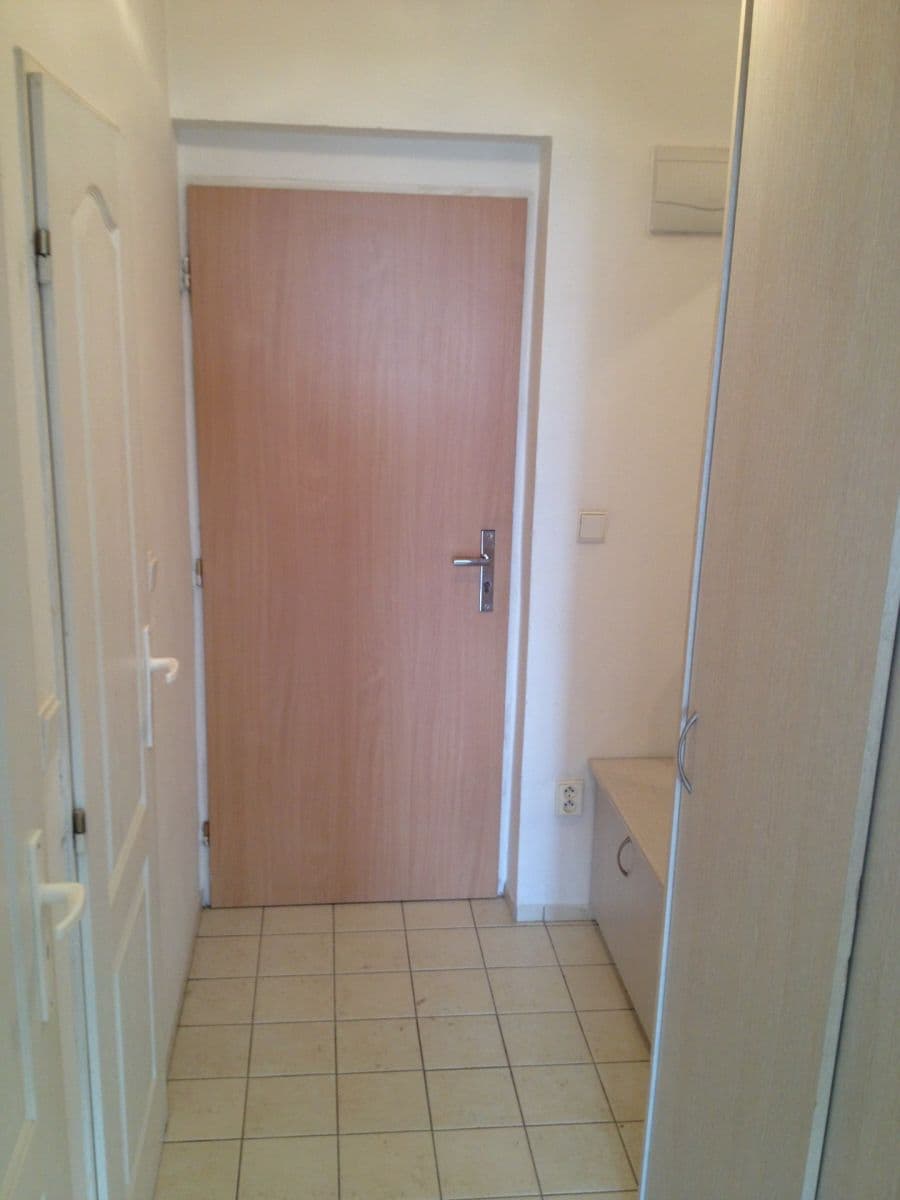 Pronájem bytu 1+kk 30 m², Štúrova, Praha, Praha Pronájem bytu 1+kk 30 m², Štúrova, Praha, Praha