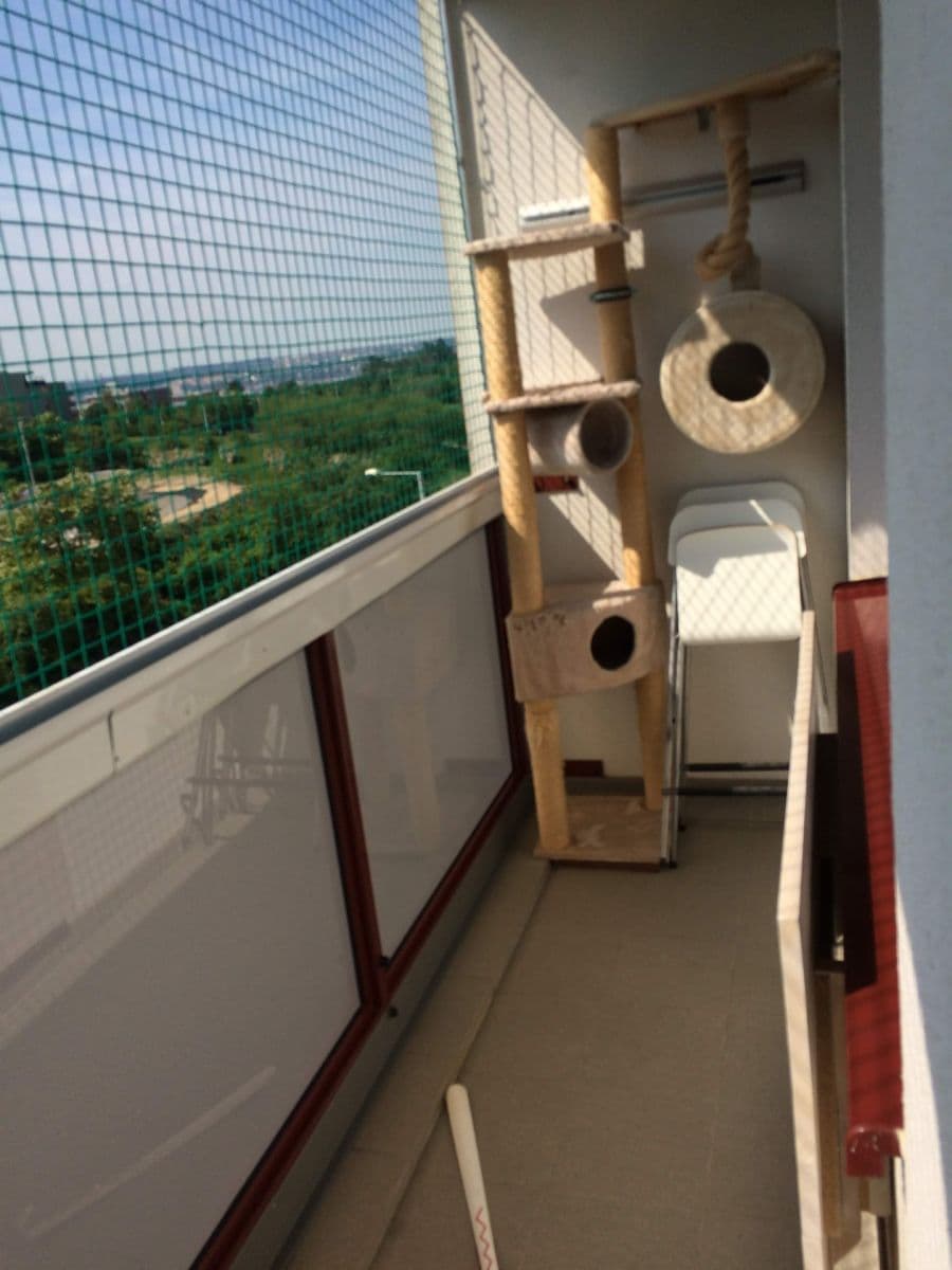 Pronájem bytu 3+1 74 m², Lindavská, Praha, Praha Pronájem bytu 3+1 74 m², Lindavská, Praha, Praha