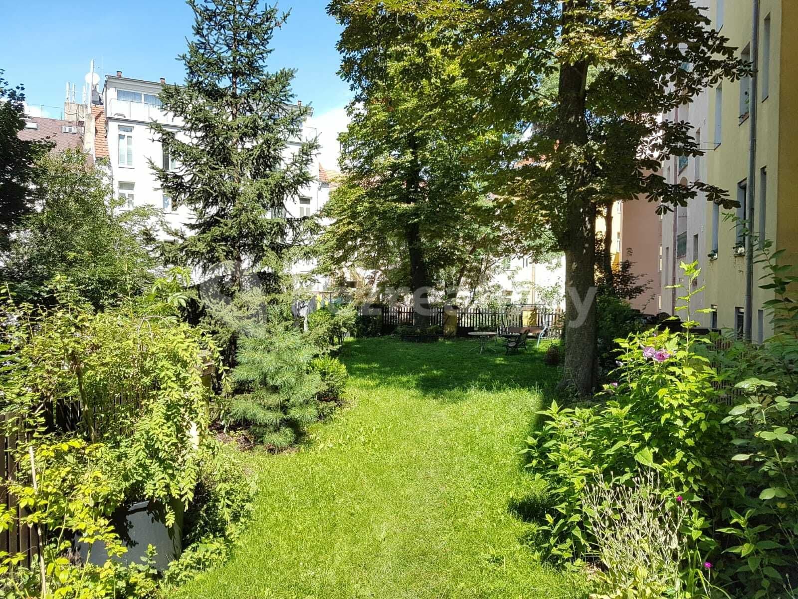 Pronájem bytu 1+kk 25 m², Ježkova, Praha, Praha Pronájem bytu 1+kk 25 m², Ježkova, Praha, Praha