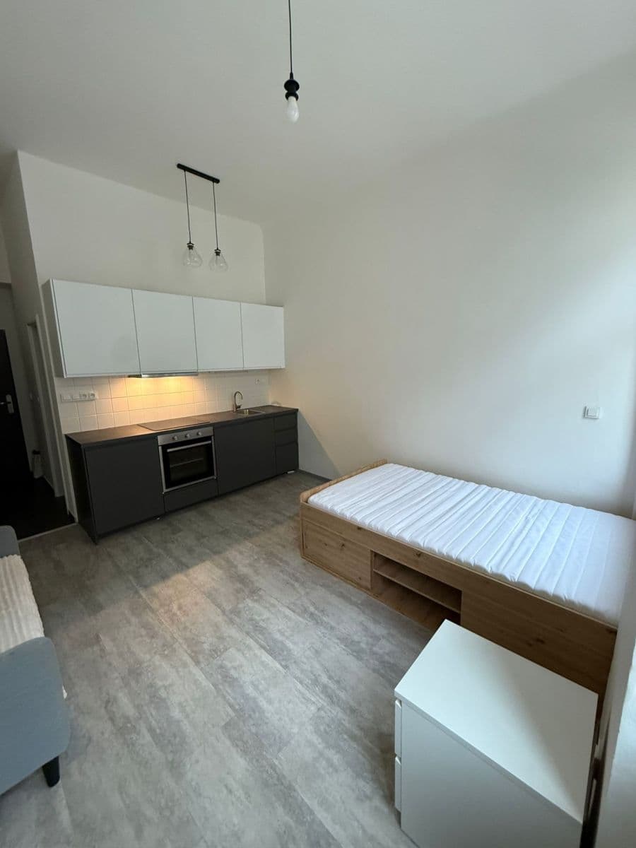 Pronájem bytu 1+kk 25 m², Ježkova, Praha, Praha Pronájem bytu 1+kk 25 m², Ježkova, Praha, Praha