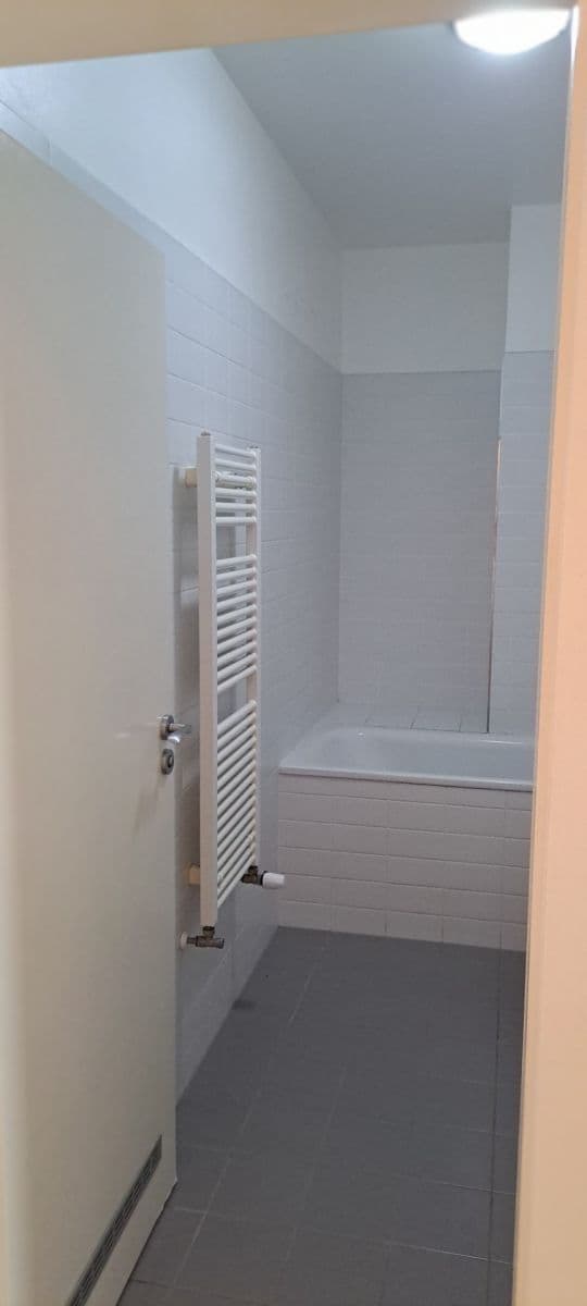 Pronájem bytu 1+kk 33 m², Českobratrská, Praha, Praha Pronájem bytu 1+kk 33 m², Českobratrská, Praha, Praha