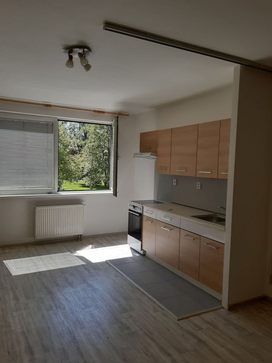 Pronájem bytu 1+kk 35 m², nábřeží Závodu míru, Pardubice, Pardubický kraj Pronájem bytu 1+kk 35 m², nábřeží Závodu míru, Pardubice, Pardubický kraj