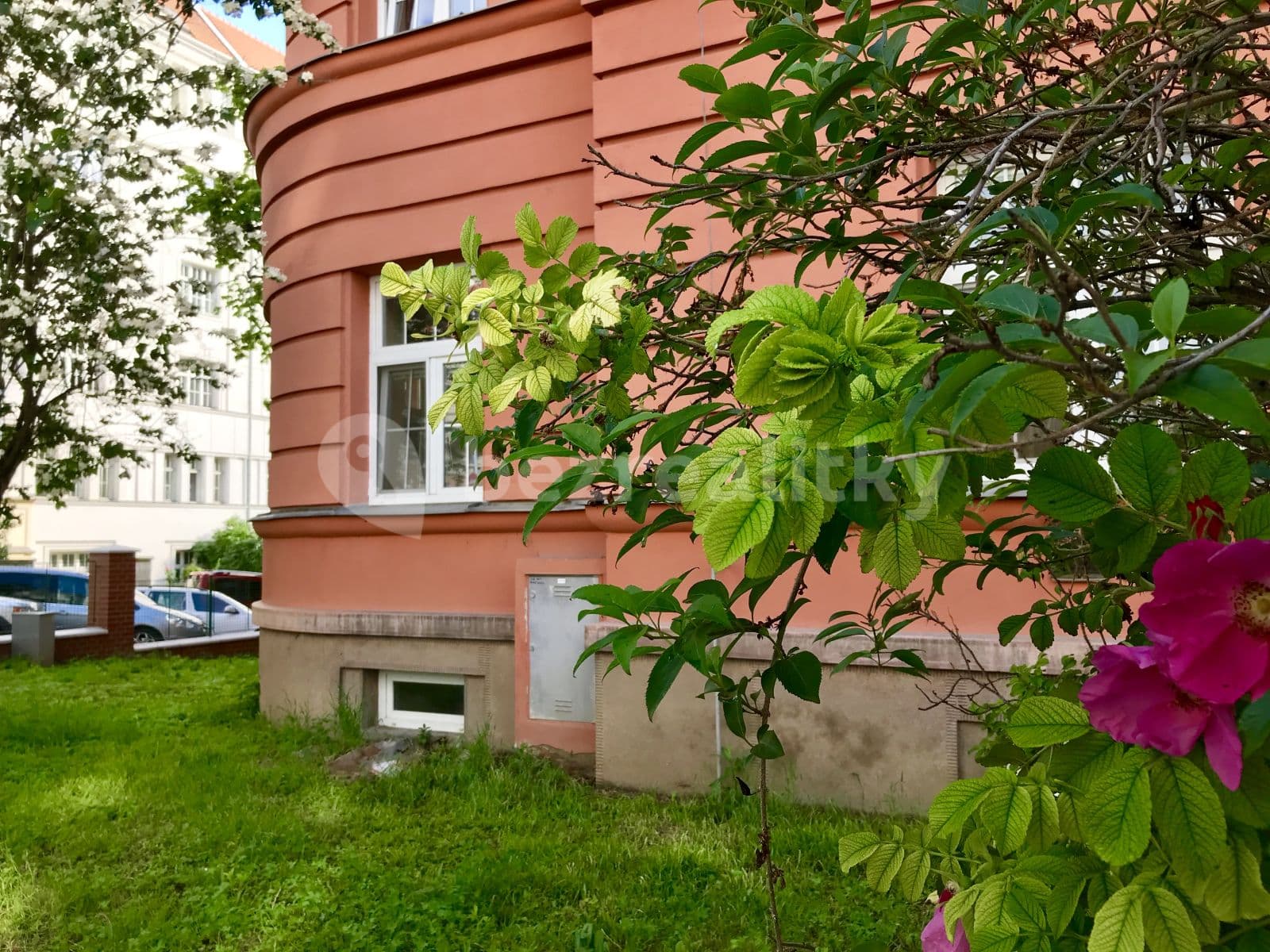 Pronájem bytu 2+kk 55 m², Tučkova, Brno, Jihomoravský kraj Pronájem bytu 2+kk 55 m², Tučkova, Brno, Jihomoravský kraj