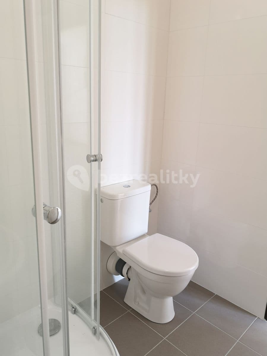 Pronájem bytu 1+kk 30 m², Dolní Kasárna, Klecany, Středočeský kraj Pronájem bytu 1+kk 30 m², Dolní Kasárna, Klecany, Středočeský kraj