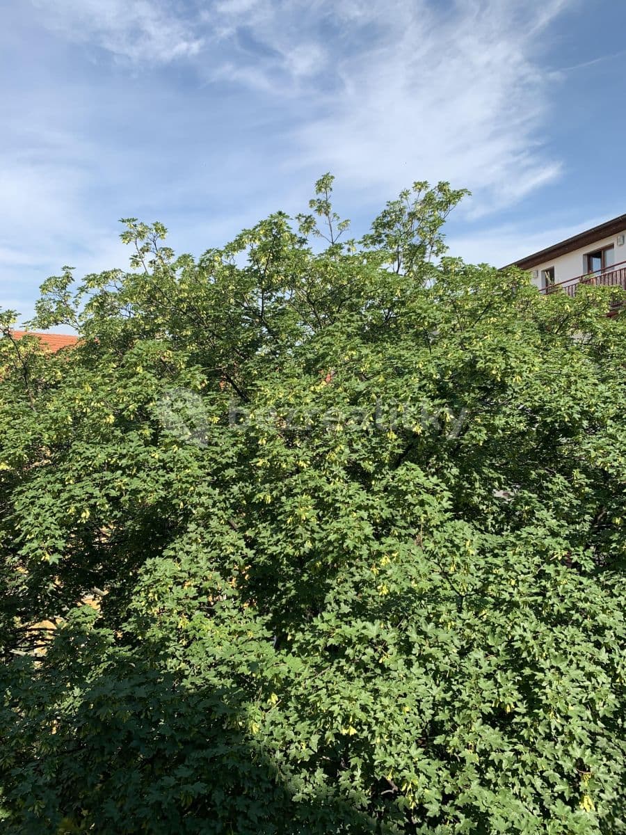 Pronájem bytu 2+kk 45 m², Mojmírova, Praha, Praha Pronájem bytu 2+kk 45 m², Mojmírova, Praha, Praha