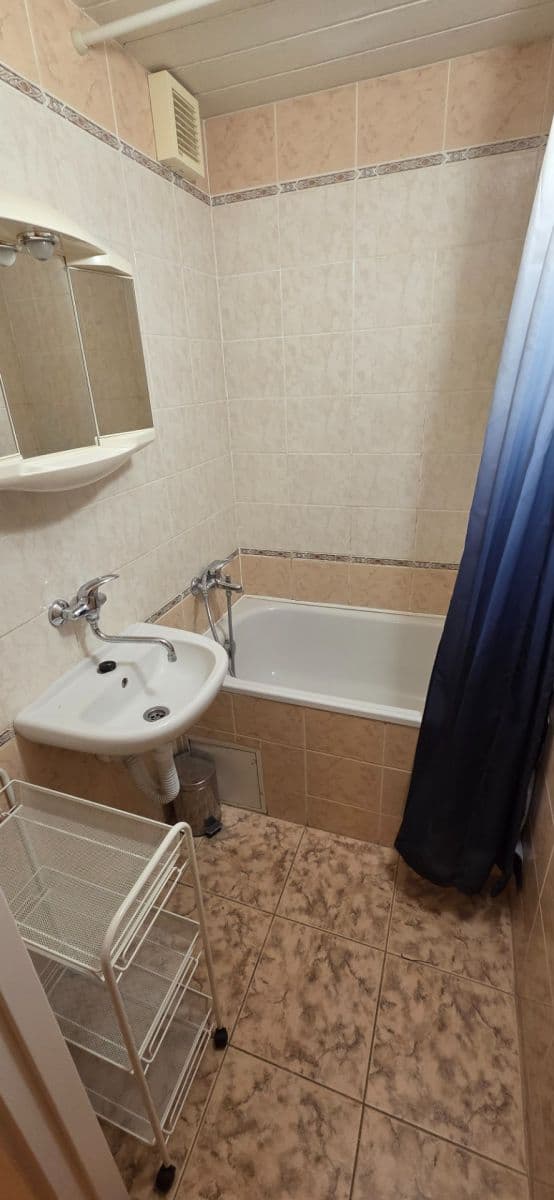 Pronájem bytu 1+1 35 m², Feřtekova, Praha, Praha Pronájem bytu 1+1 35 m², Feřtekova, Praha, Praha