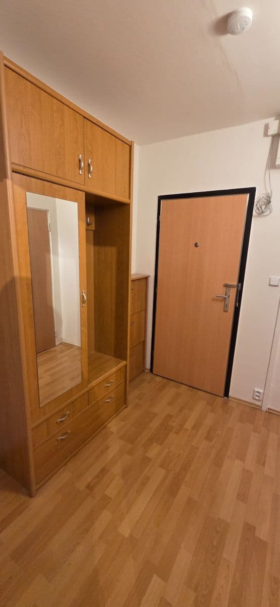 Pronájem bytu 1+1 35 m², Feřtekova, Praha, Praha Pronájem bytu 1+1 35 m², Feřtekova, Praha, Praha