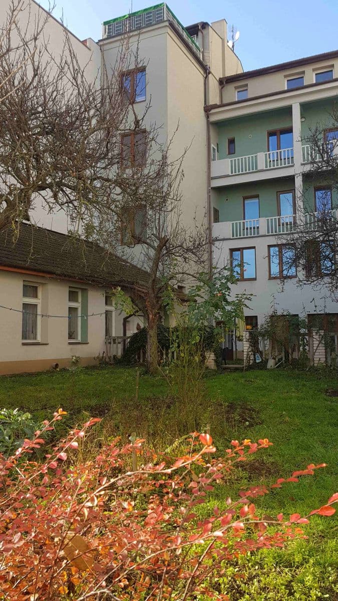 Pronájem bytu 1+1 36 m², Palackého třída, Brno, Jihomoravský kraj Pronájem bytu 1+1 36 m², Palackého třída, Brno, Jihomoravský kraj