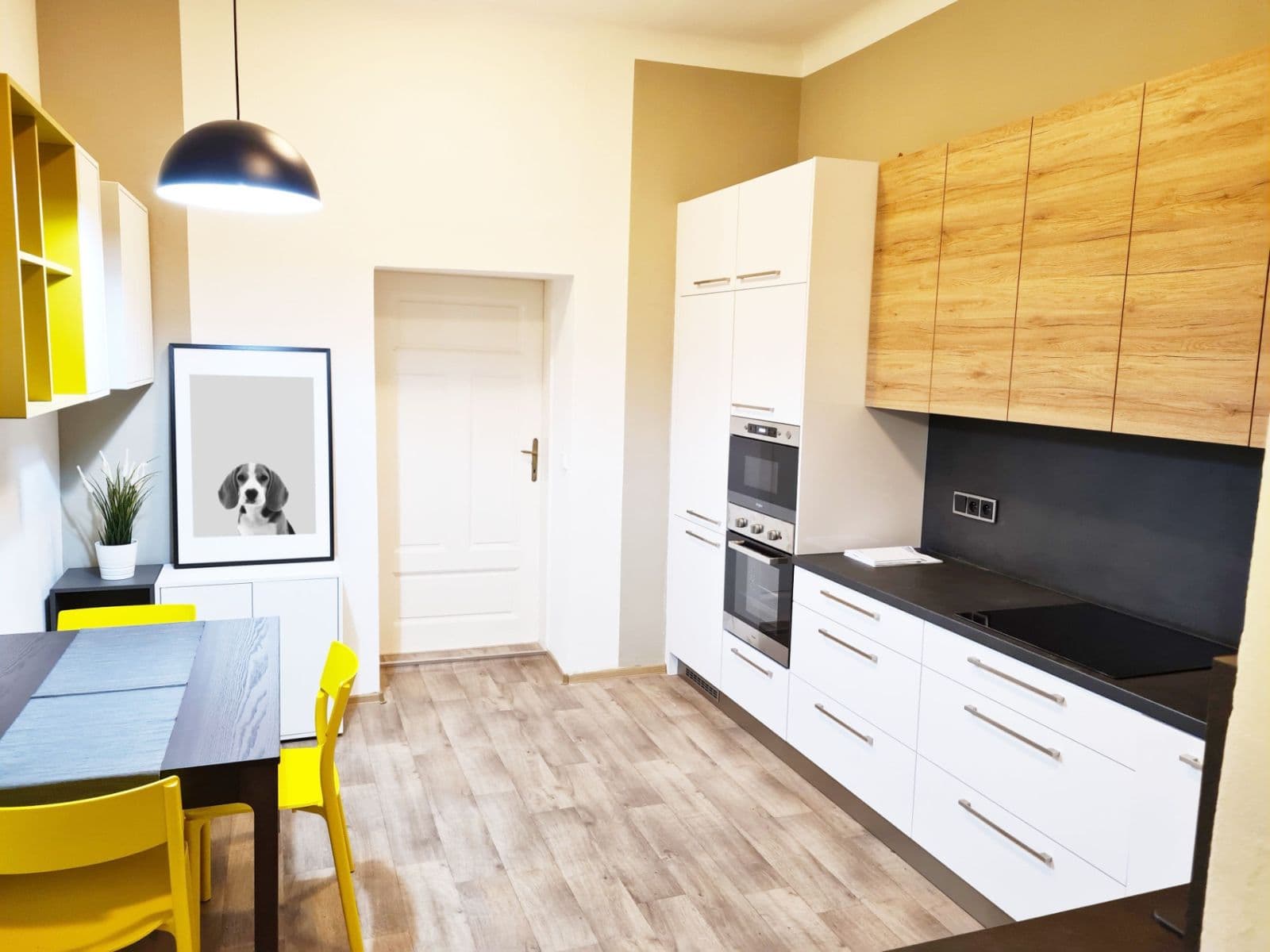 Pronájem bytu 1+1 36 m², Palackého třída, Brno, Jihomoravský kraj Pronájem bytu 1+1 36 m², Palackého třída, Brno, Jihomoravský kraj