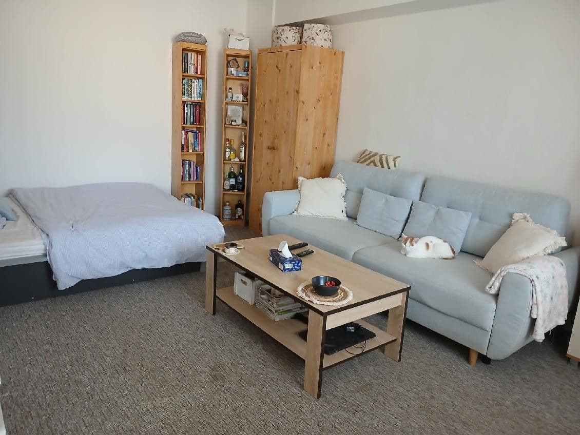 Pronájem bytu 1+1 42 m², Kralupy nad Vltavou, Středočeský kraj Pronájem bytu 1+1 42 m², Kralupy nad Vltavou, Středočeský kraj