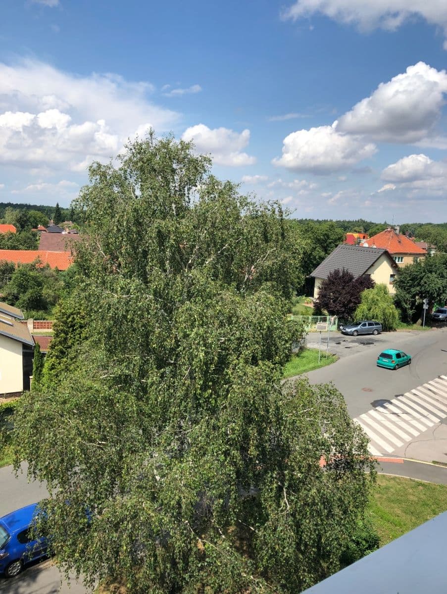 Pronájem bytu 1+kk 31 m², Rohožnická, Praha, Praha Pronájem bytu 1+kk 31 m², Rohožnická, Praha, Praha
