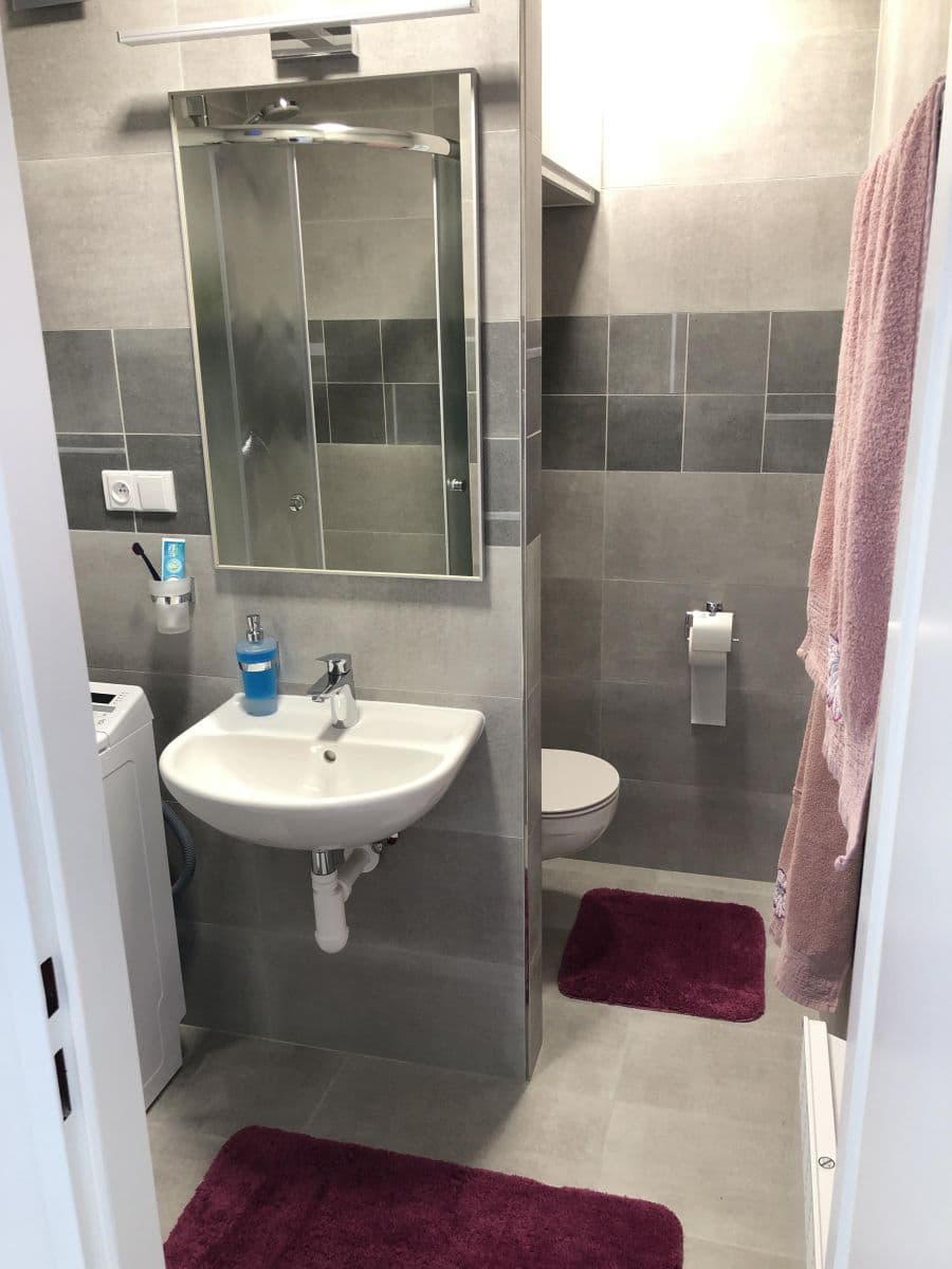 Pronájem bytu 1+1 36 m², Jánošíkova, Brno, Jihomoravský kraj Pronájem bytu 1+1 36 m², Jánošíkova, Brno, Jihomoravský kraj