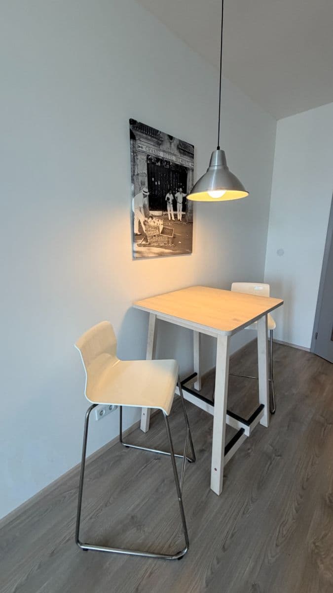 Pronájem bytu 1+kk 43 m², Premonstrátů, Chýně, Středočeský kraj Pronájem bytu 1+kk 43 m², Premonstrátů, Chýně, Středočeský kraj