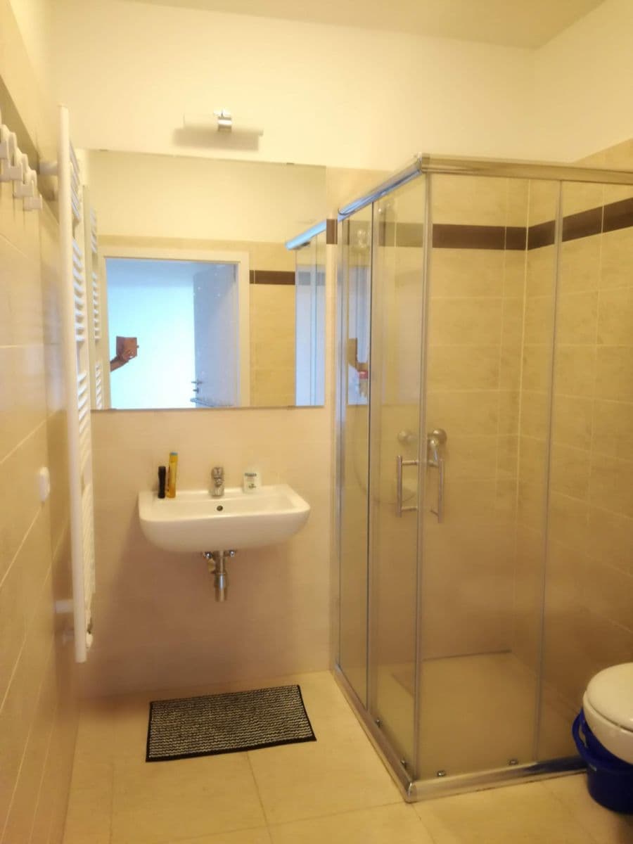 Pronájem bytu 1+kk 37 m², Mrázkova, Praha, Praha Pronájem bytu 1+kk 37 m², Mrázkova, Praha, Praha