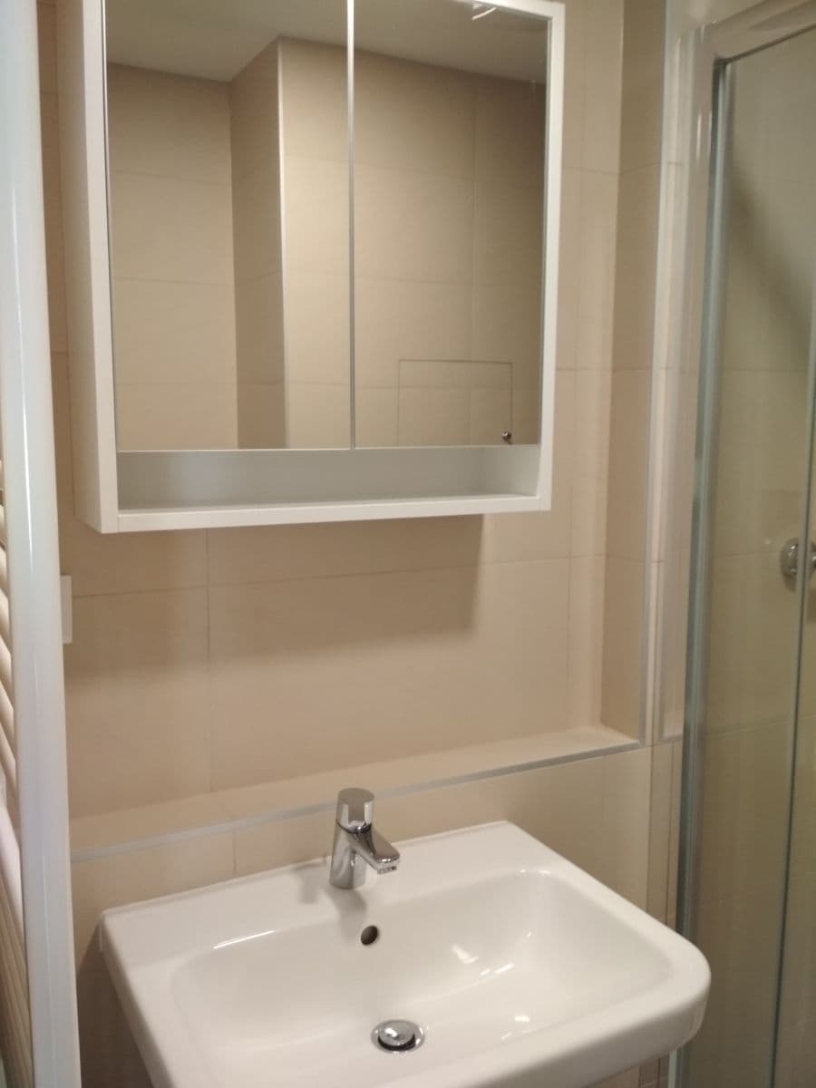 Pronájem bytu 1+kk 37 m², Selská, Brno, Jihomoravský kraj Pronájem bytu 1+kk 37 m², Selská, Brno, Jihomoravský kraj