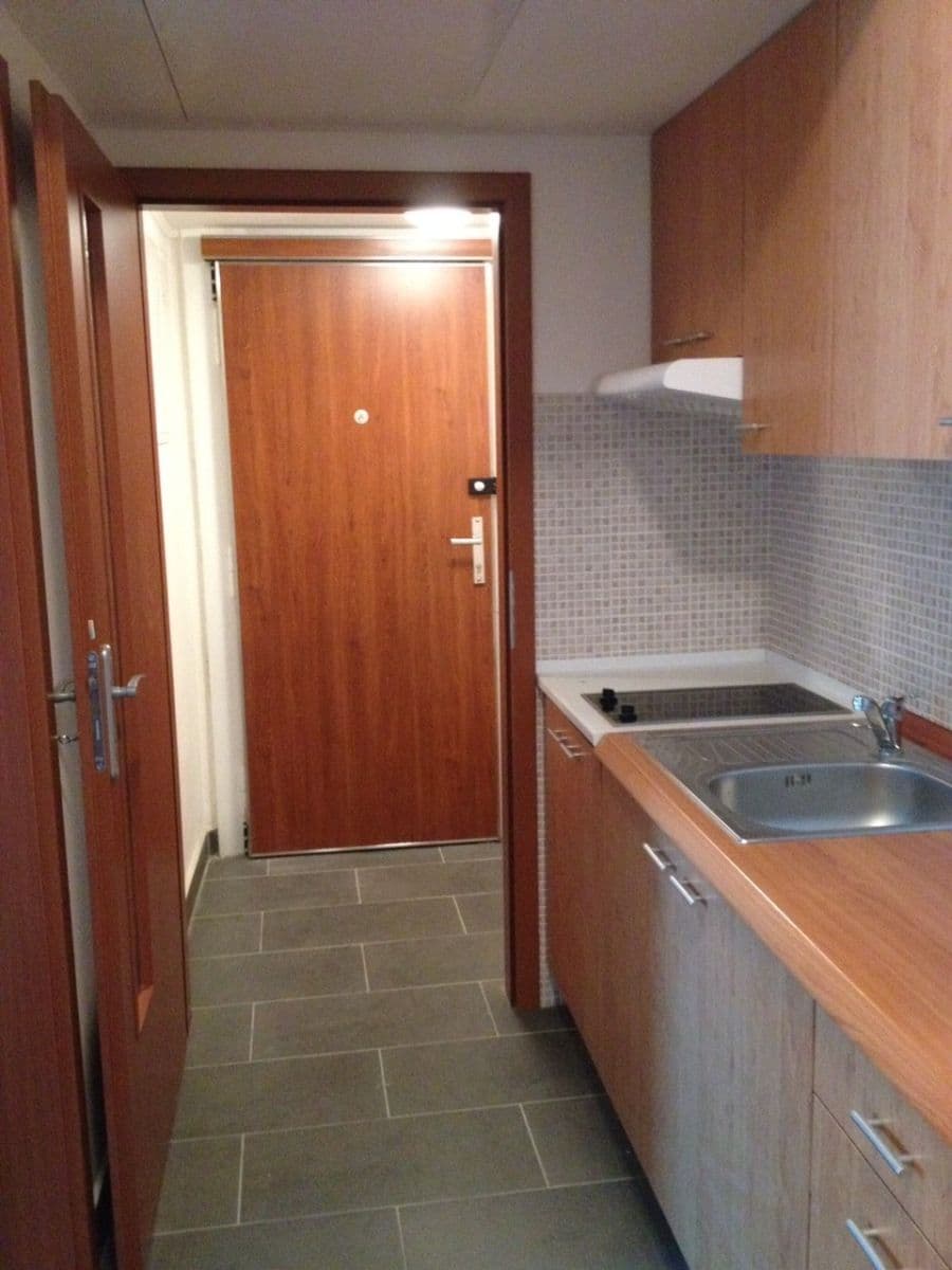 Pronájem bytu 2+kk 45 m², Pod Karlovem, Praha, Praha Pronájem bytu 2+kk 45 m², Pod Karlovem, Praha, Praha