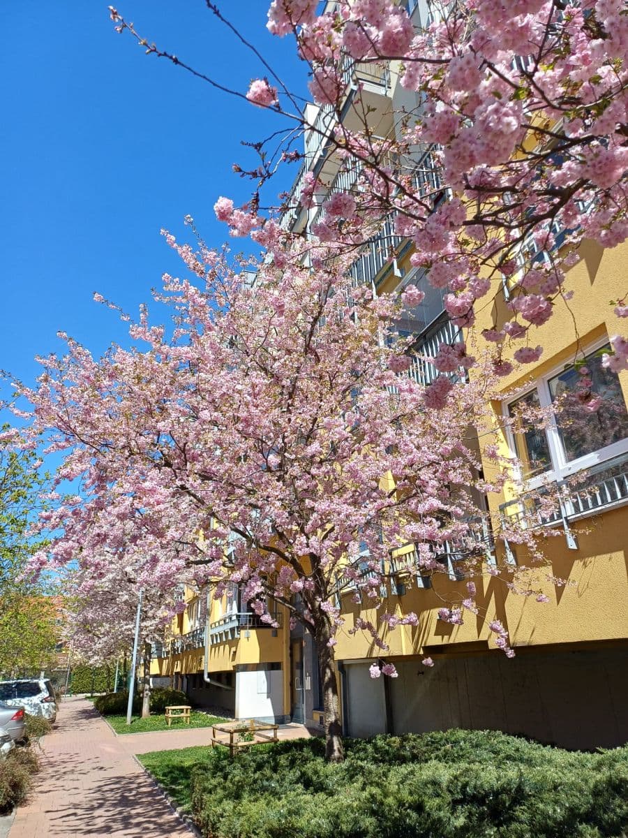 Pronájem bytu 2+kk 52 m², Zakšínská, Praha, Praha Pronájem bytu 2+kk 52 m², Zakšínská, Praha, Praha