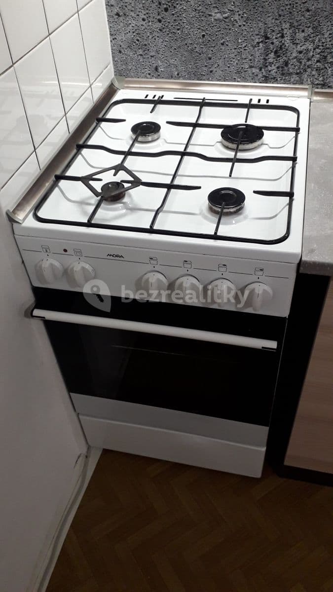 Pronájem bytu 1+1 35 m², Dlouhá, Nový Jičín, Moravskoslezský kraj Pronájem bytu 1+1 35 m², Dlouhá, Nový Jičín, Moravskoslezský kraj