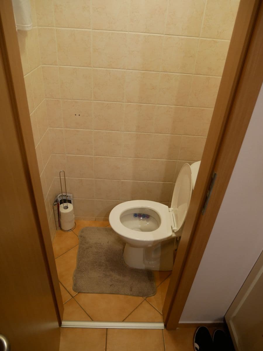 Pronájem bytu 2+1 57 m², Dukelská, Čelákovice, Středočeský kraj Pronájem bytu 2+1 57 m², Dukelská, Čelákovice, Středočeský kraj