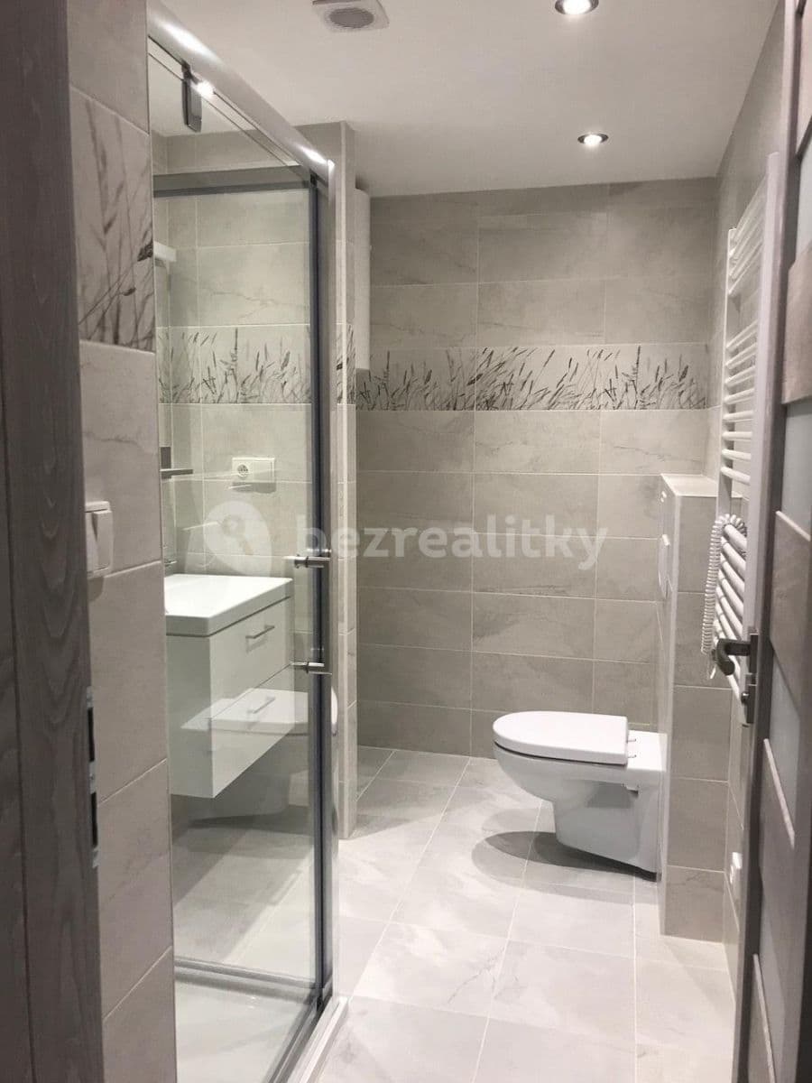 Pronájem bytu 1+1 40 m², Hlavní, Ostrava, Moravskoslezský kraj Pronájem bytu 1+1 40 m², Hlavní, Ostrava, Moravskoslezský kraj