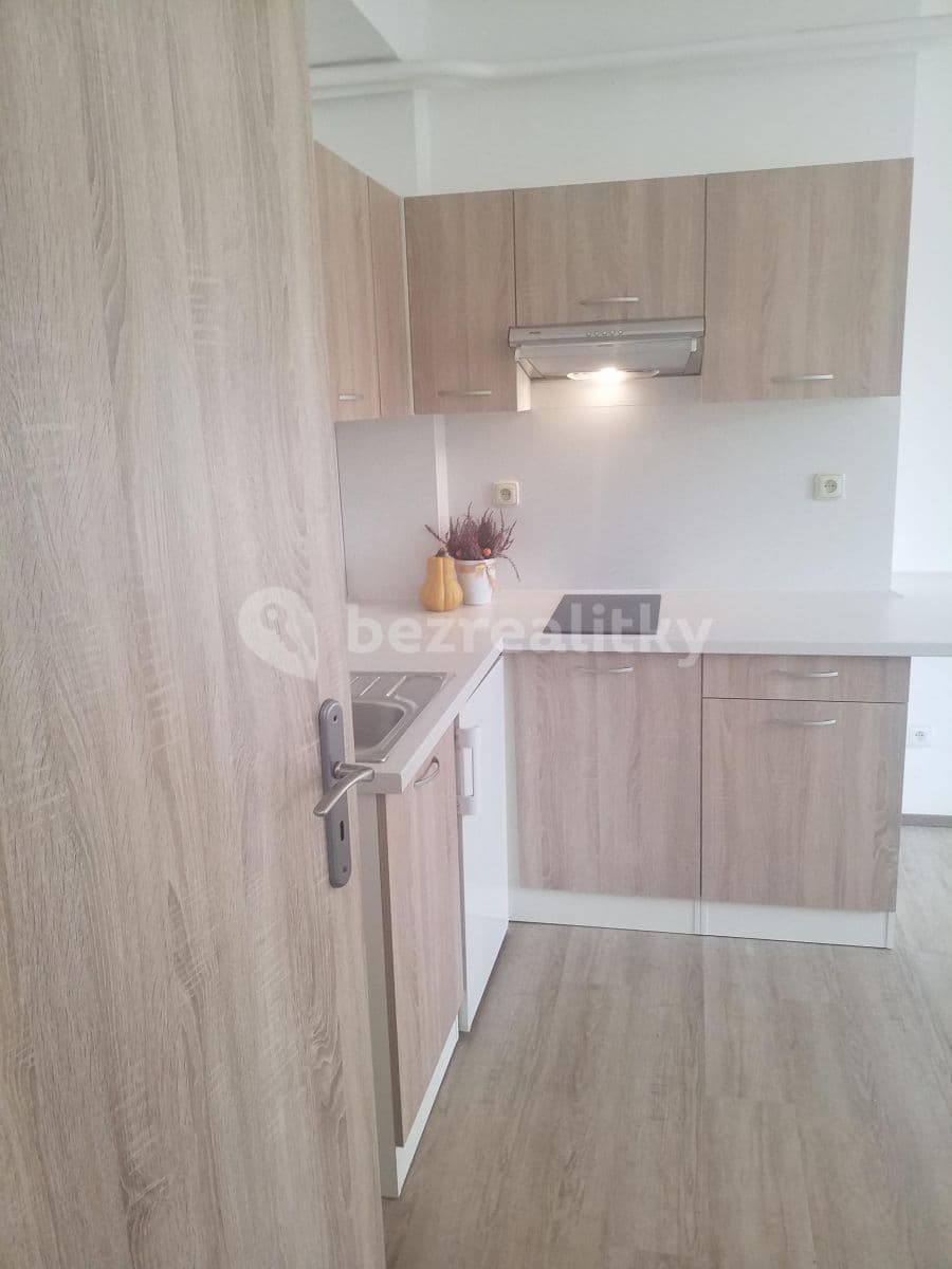 Pronájem bytu 1+kk 25 m², Mlýnská, Brno, Jihomoravský kraj Pronájem bytu 1+kk 25 m², Mlýnská, Brno, Jihomoravský kraj