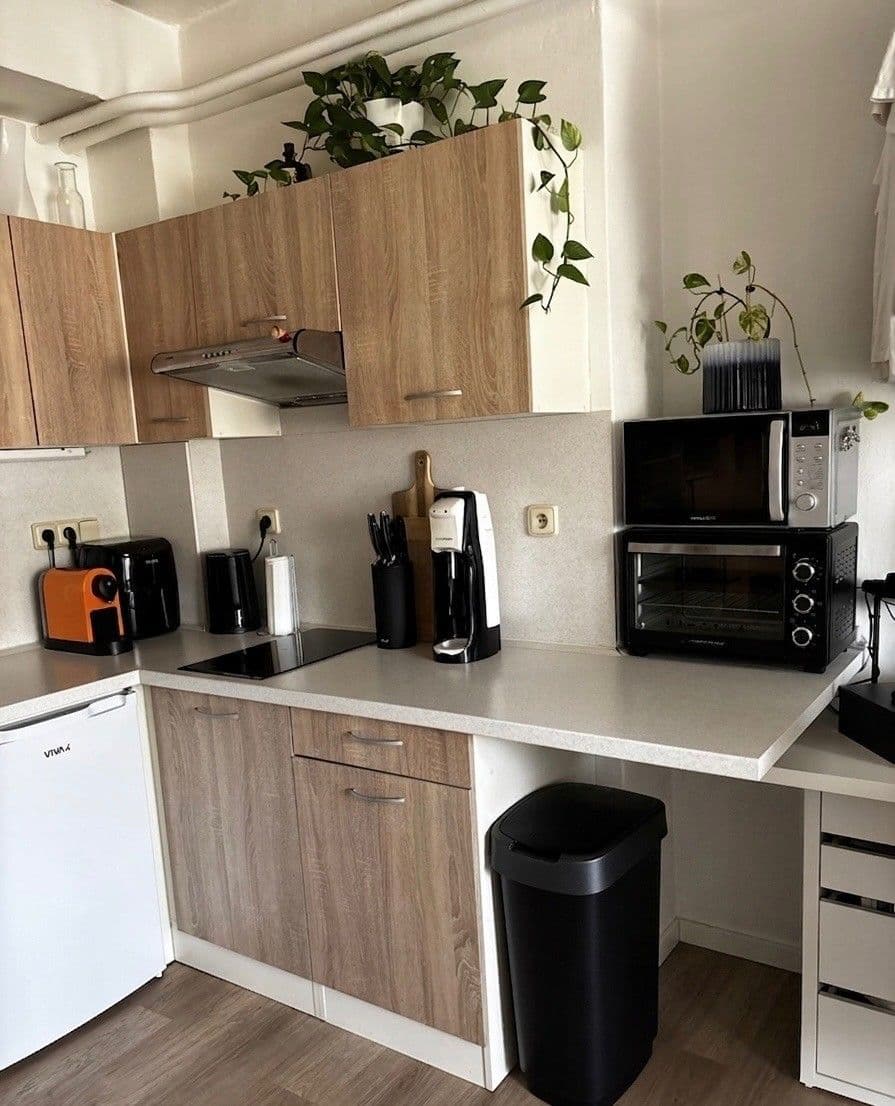 Pronájem bytu 1+kk 25 m², Mlýnská, Brno, Jihomoravský kraj Pronájem bytu 1+kk 25 m², Mlýnská, Brno, Jihomoravský kraj