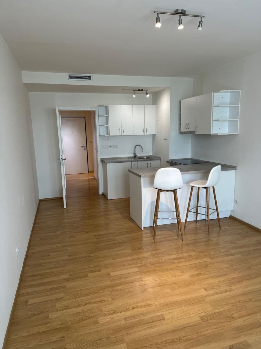 Pronájem bytu 1+kk 37 m², Nepomuckých, Praha, Praha Pronájem bytu 1+kk 37 m², Nepomuckých, Praha, Praha
