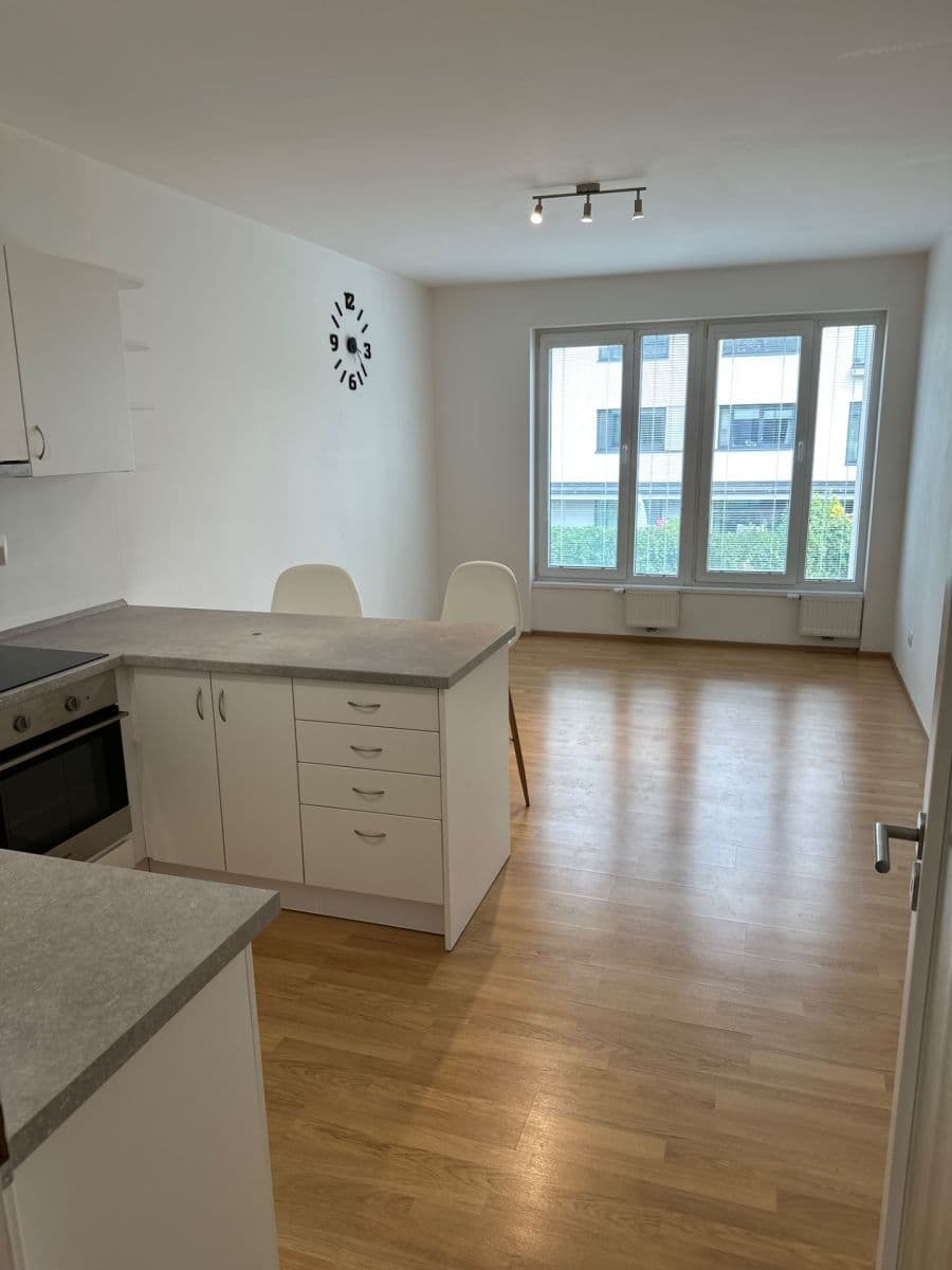 Pronájem bytu 1+kk 37 m², Nepomuckých, Praha, Praha Pronájem bytu 1+kk 37 m², Nepomuckých, Praha, Praha