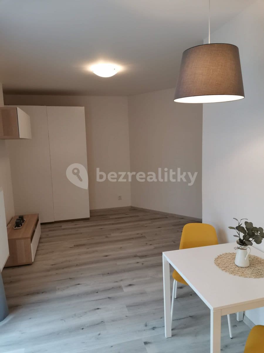 Pronájem bytu 1+kk 30 m², Slámova, Brno, Jihomoravský kraj Pronájem bytu 1+kk 30 m², Slámova, Brno, Jihomoravský kraj