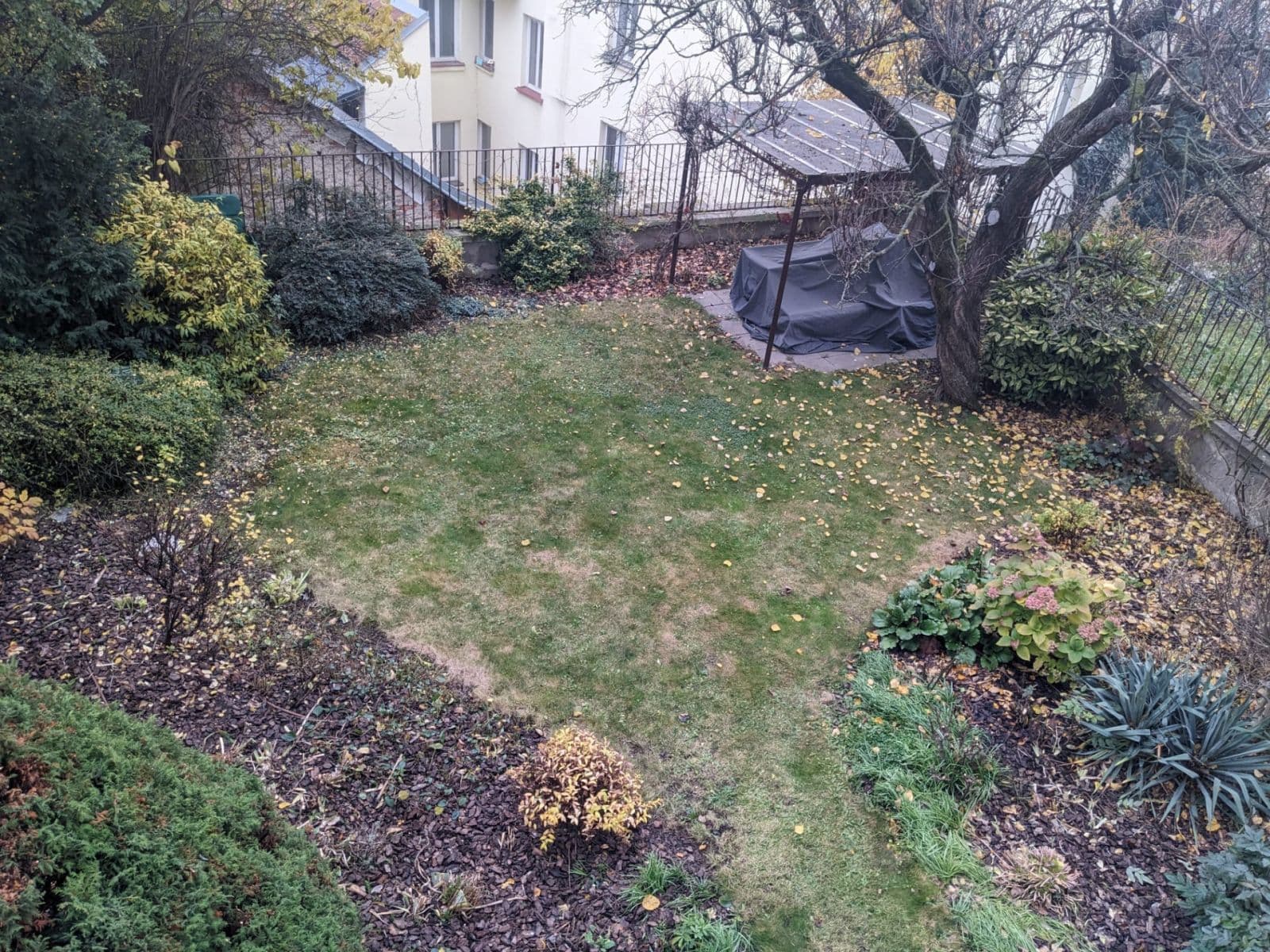 Pronájem bytu Garsoniéra 24 m², Pellicova, Brno, Jihomoravský kraj Pronájem bytu Garsoniéra 24 m², Pellicova, Brno, Jihomoravský kraj