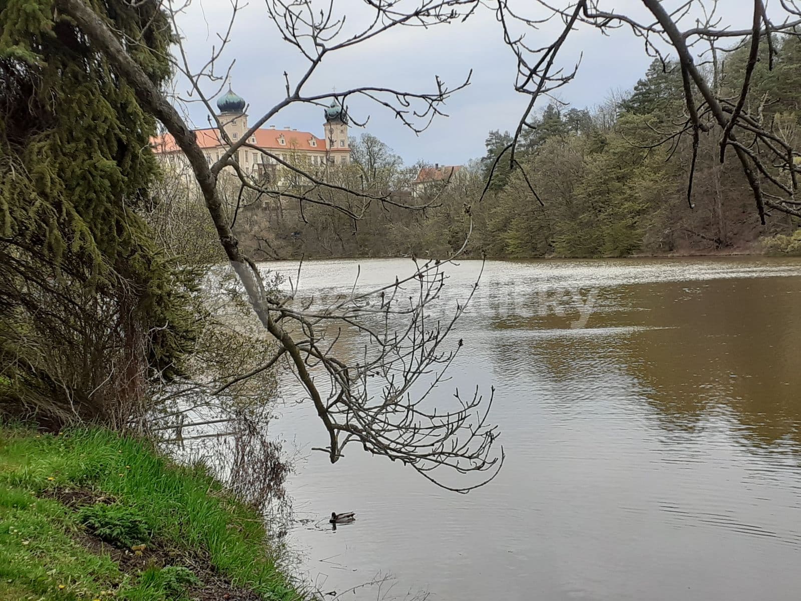 Pronájem bytu 2+kk 60 m², Skalecká, Mníšek pod Brdy, Středočeský kraj Pronájem bytu 2+kk 60 m², Skalecká, Mníšek pod Brdy, Středočeský kraj