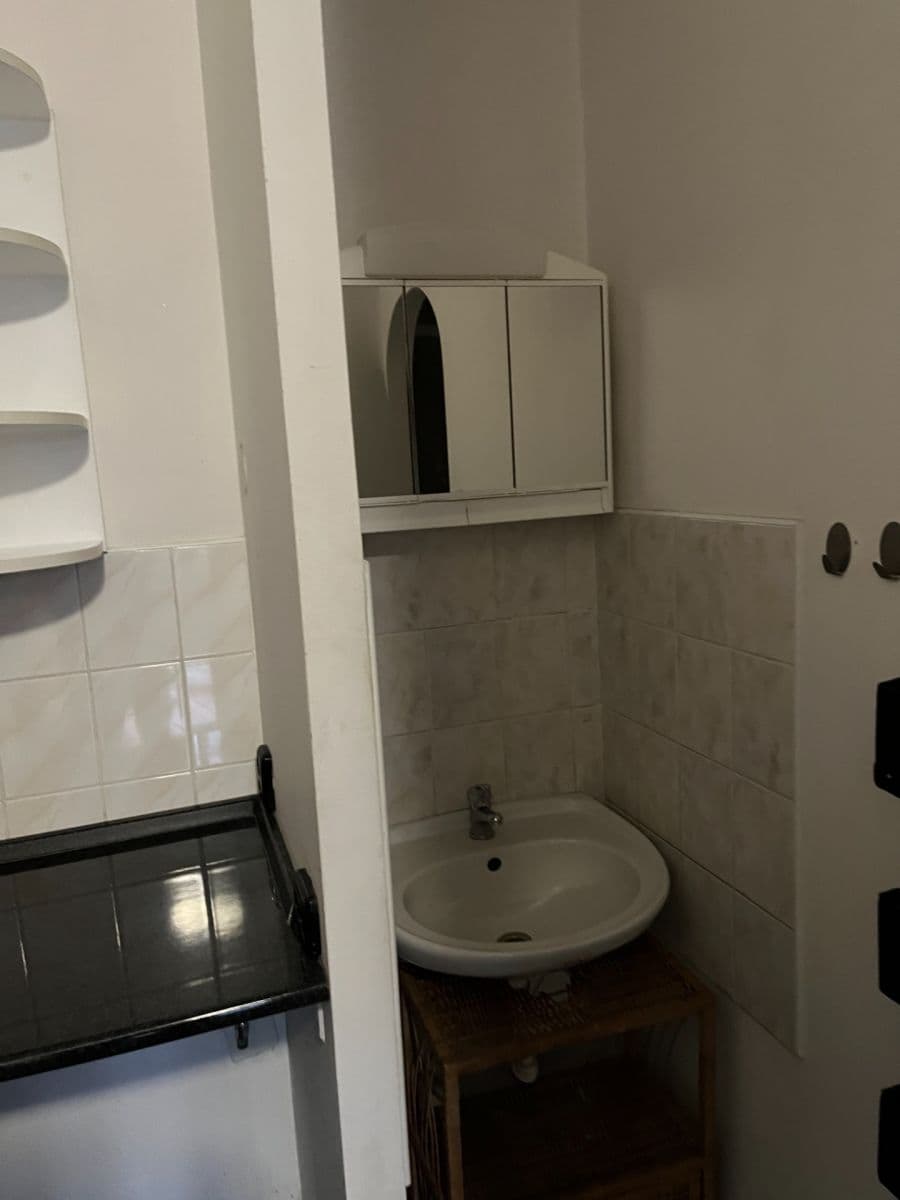 Pronájem bytu 1+kk 25 m², Křídlovická, Brno, Jihomoravský kraj Pronájem bytu 1+kk 25 m², Křídlovická, Brno, Jihomoravský kraj