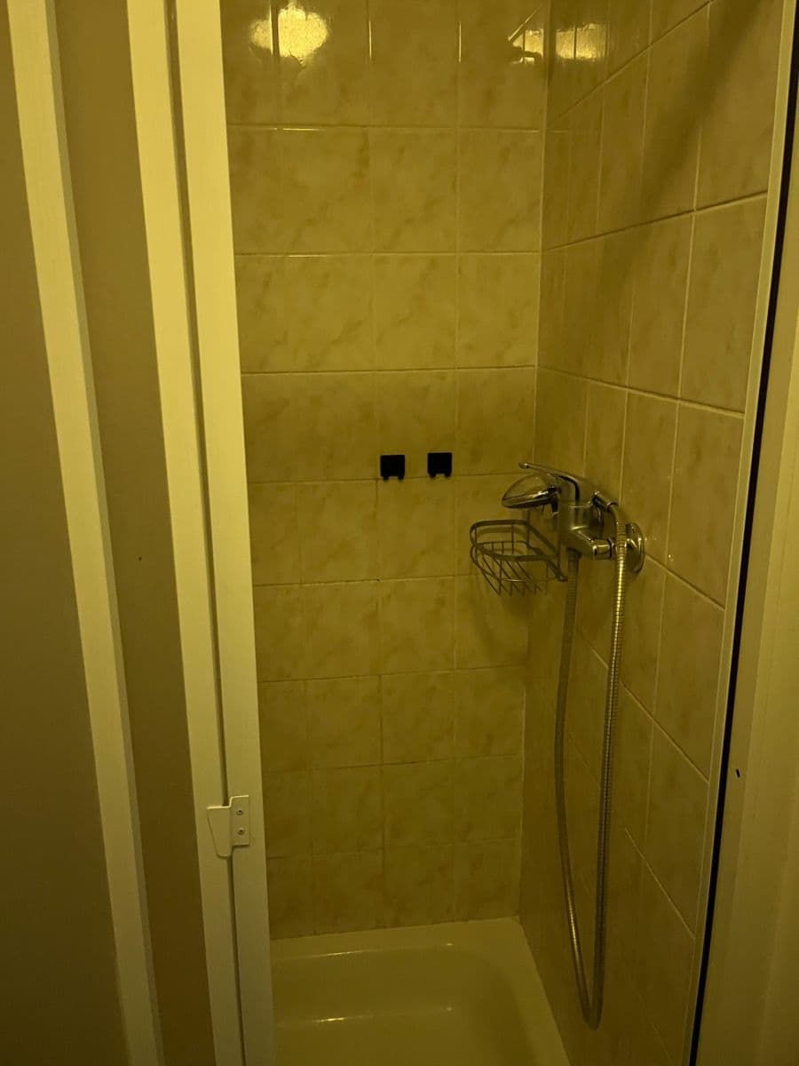 Pronájem bytu 1+kk 25 m², Křídlovická, Brno, Jihomoravský kraj Pronájem bytu 1+kk 25 m², Křídlovická, Brno, Jihomoravský kraj