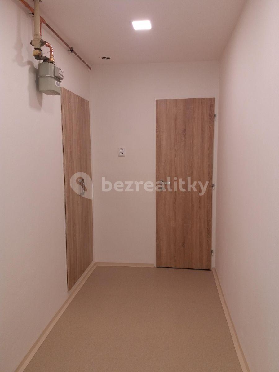 Pronájem bytu 1+1 36 m², Zenklova, Praha, Praha