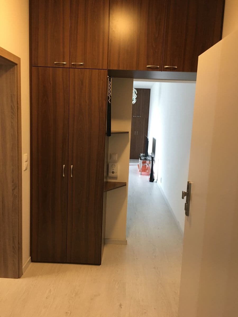 Pronájem bytu 1+kk 40 m², Žitenická, Praha, Praha Pronájem bytu 1+kk 40 m², Žitenická, Praha, Praha