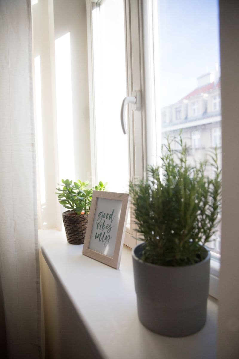 Pronájem bytu 2+kk 55 m², Schnirchova, Praha, Praha Pronájem bytu 2+kk 55 m², Schnirchova, Praha, Praha
