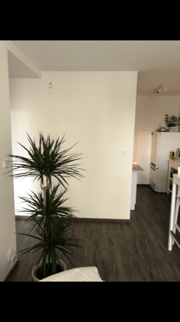 Pronájem bytu 2+kk 43 m², Boháčova, Praha, Praha Pronájem bytu 2+kk 43 m², Boháčova, Praha, Praha
