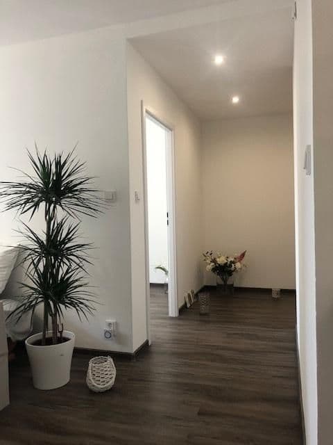 Pronájem bytu 2+kk 43 m², Boháčova, Praha, Praha Pronájem bytu 2+kk 43 m², Boháčova, Praha, Praha