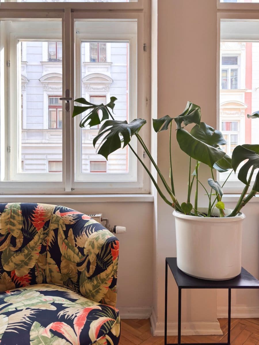 Pronájem bytu 2+1 68 m², Jana Masaryka, Praha, Praha Pronájem bytu 2+1 68 m², Jana Masaryka, Praha, Praha