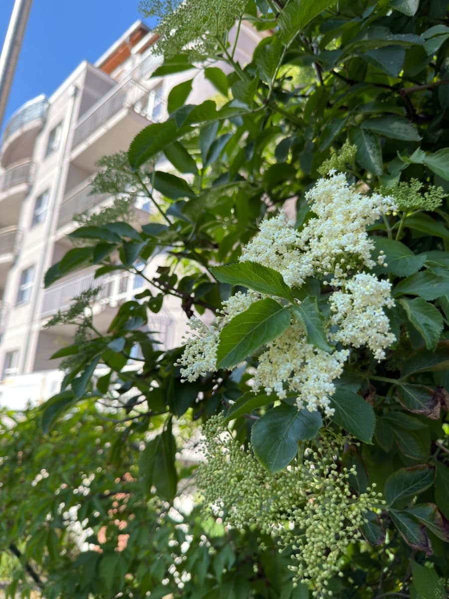 Prodej bytu 3+kk 130 m², Škroupova, Karlovy Vary, Karlovarský kraj Prodej bytu 3+kk 130 m², Škroupova, Karlovy Vary, Karlovarský kraj