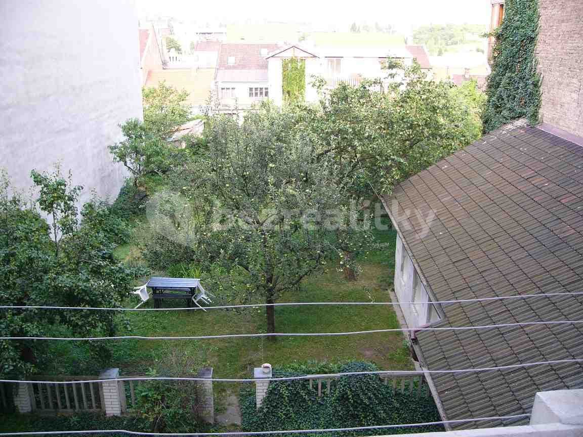 Pronájem bytu 1+1 32 m², Palackého Třída, Brno, Jihomoravský kraj Pronájem bytu 1+1 32 m², Palackého Třída, Brno, Jihomoravský kraj