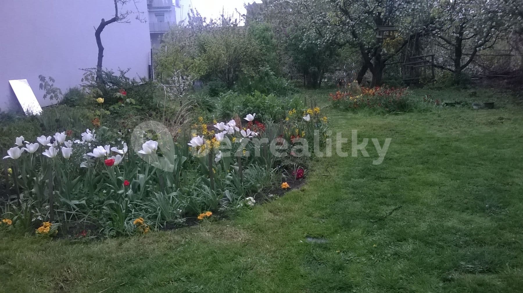 Pronájem bytu 1+1 32 m², Palackého Třída, Brno, Jihomoravský kraj Pronájem bytu 1+1 32 m², Palackého Třída, Brno, Jihomoravský kraj