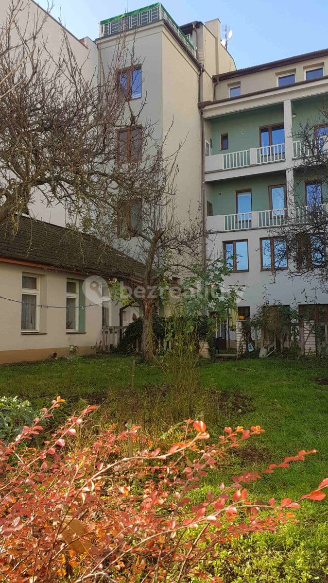 Pronájem bytu 1+1 32 m², Palackého Třída, Brno, Jihomoravský kraj Pronájem bytu 1+1 32 m², Palackého Třída, Brno, Jihomoravský kraj