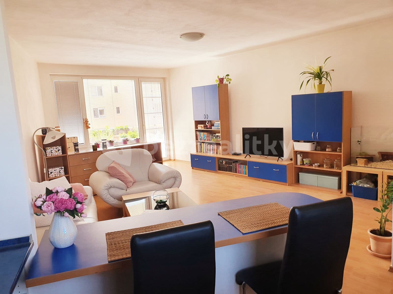 Pronájem bytu 2+kk 83 m², Bělohorská, Brno, Jihomoravský kraj Pronájem bytu 2+kk 83 m², Bělohorská, Brno, Jihomoravský kraj