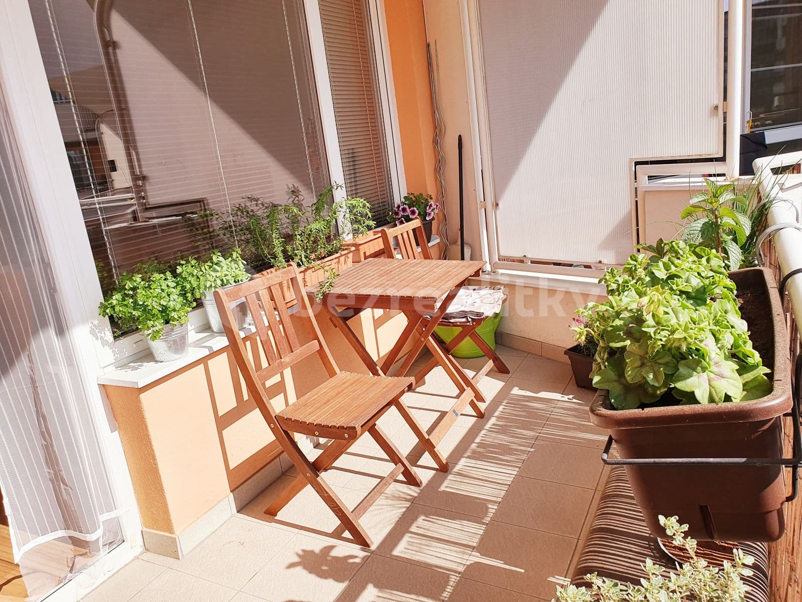 Pronájem bytu 2+kk 83 m², Bělohorská, Brno, Jihomoravský kraj Pronájem bytu 2+kk 83 m², Bělohorská, Brno, Jihomoravský kraj