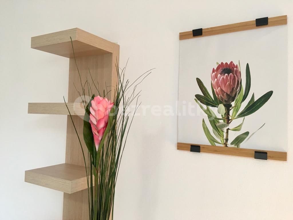 Pronájem bytu 1+kk 30 m², Za černým mostem, Praha, Praha Pronájem bytu 1+kk 30 m², Za černým mostem, Praha, Praha